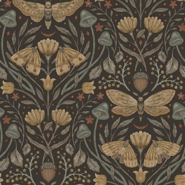 Mystic Moth Black | Jeffrey Stevens
