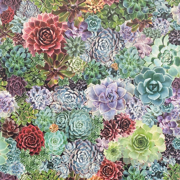 Rhea, Multicolor Wallcoverings | Malibu Wallcovering