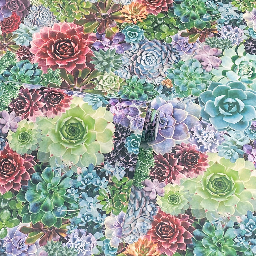 Rhea, Multicolor