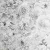 Clarissa, Grey