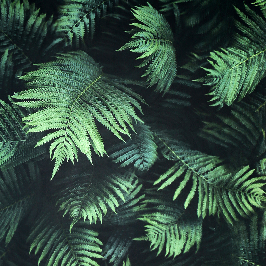 Winona, Green