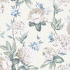 Atley, Light Green