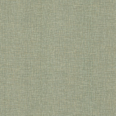 Beau Green | Jeffrey Stevens