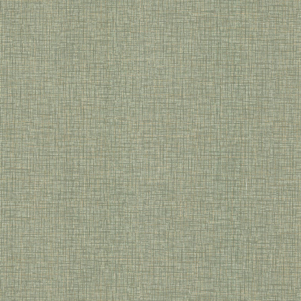 Beau Green | Jeffrey Stevens
