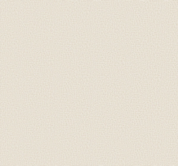 Cary Ivory | Jeffrey Stevens