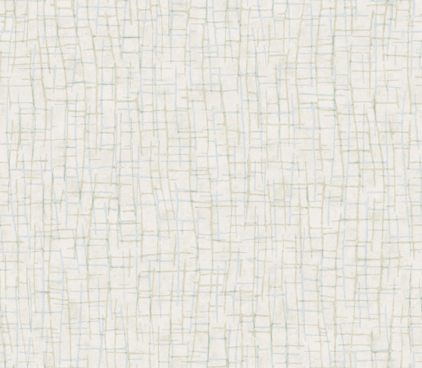 Rian Off-White | Jeffrey Stevens