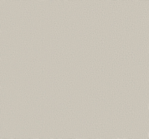 Cary Taupe | Jeffrey Stevens