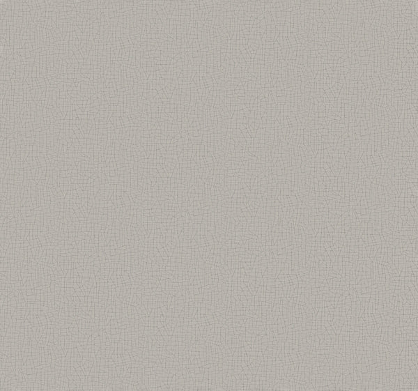 Cary Grey | Jeffrey Stevens
