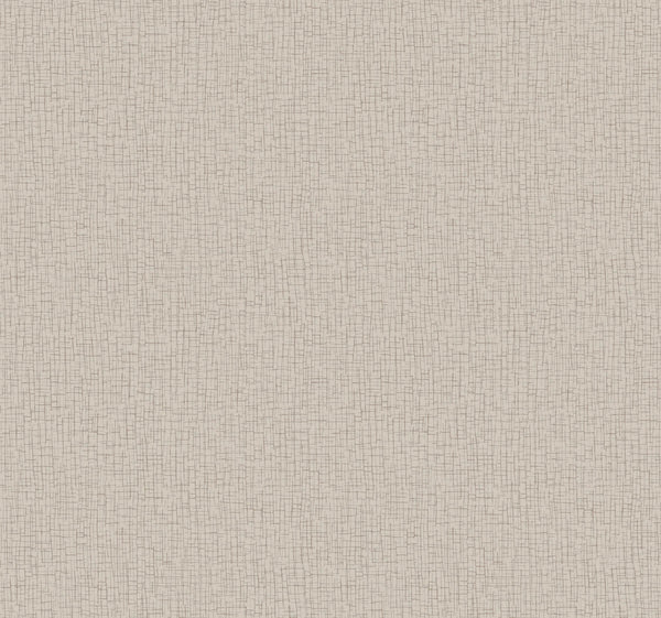 Aden Taupe | Jeffrey Stevens