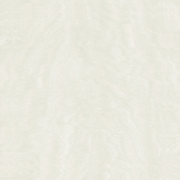 Shimmering Moire White | Jeffrey Stevens