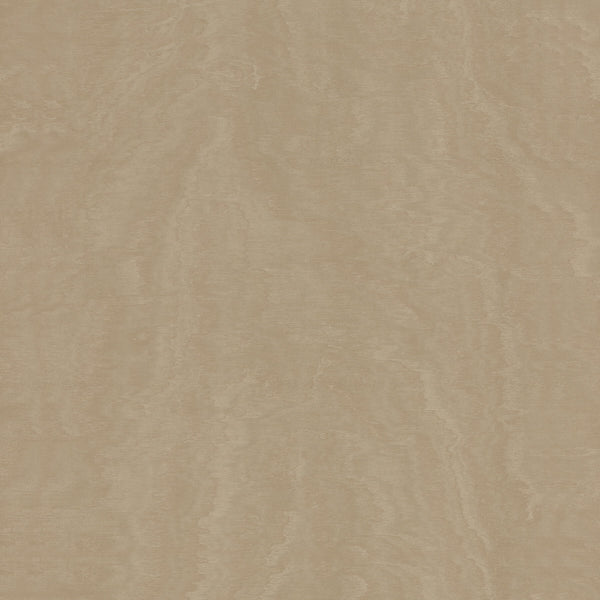 Shimmering Moire Taupe | Jeffrey Stevens