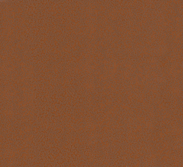 Hudson Copper | Jeffrey Stevens