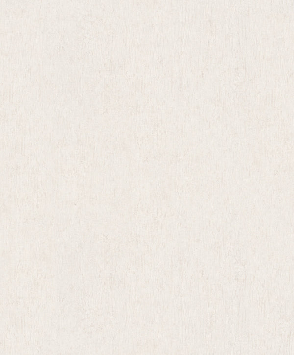 Dustan Cream | Jeffrey Stevens