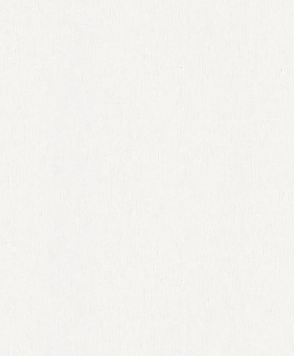 Dustan White | Jeffrey Stevens
