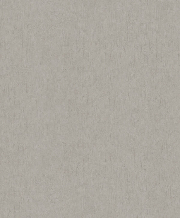 Dustan Taupe | Jeffrey Stevens