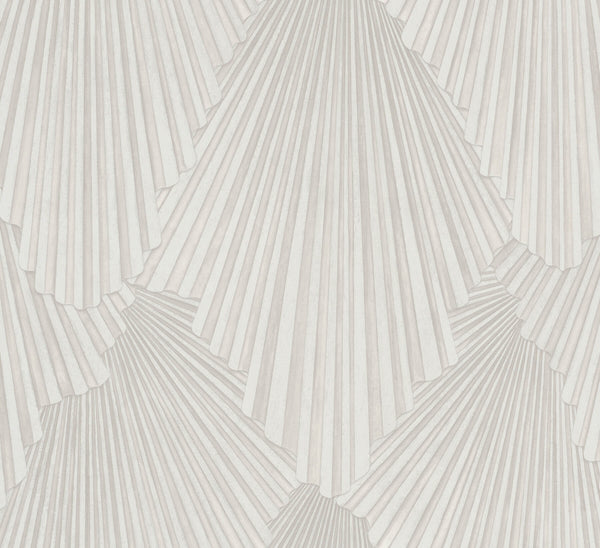 Lumiere Champagne | Jeffrey Stevens