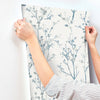 Silverling, Blue
