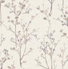 Silverling, Lavender