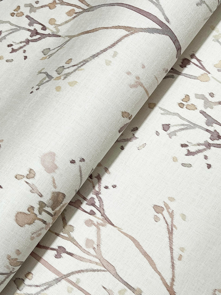 Silverling, Lavender