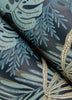 Alocasia, Blue
