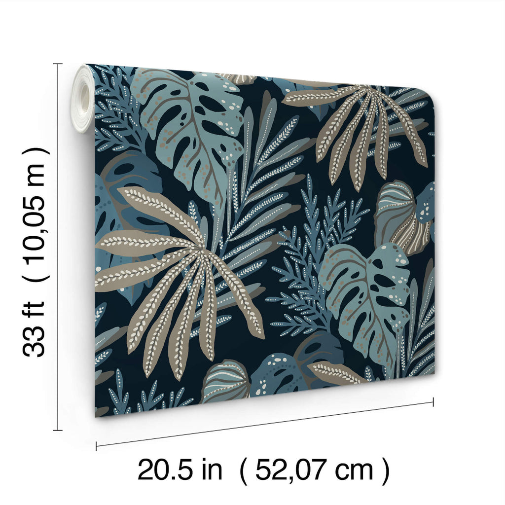 Alocasia, Blue