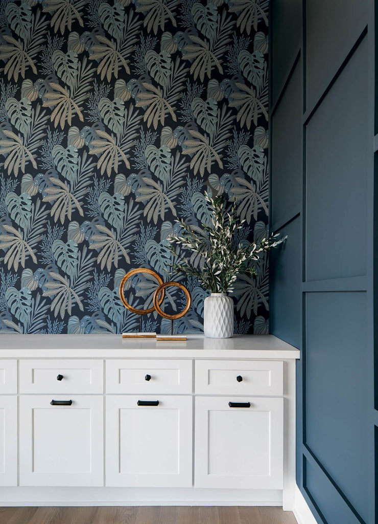 Alocasia, Blue