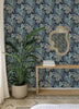 Alocasia, Blue