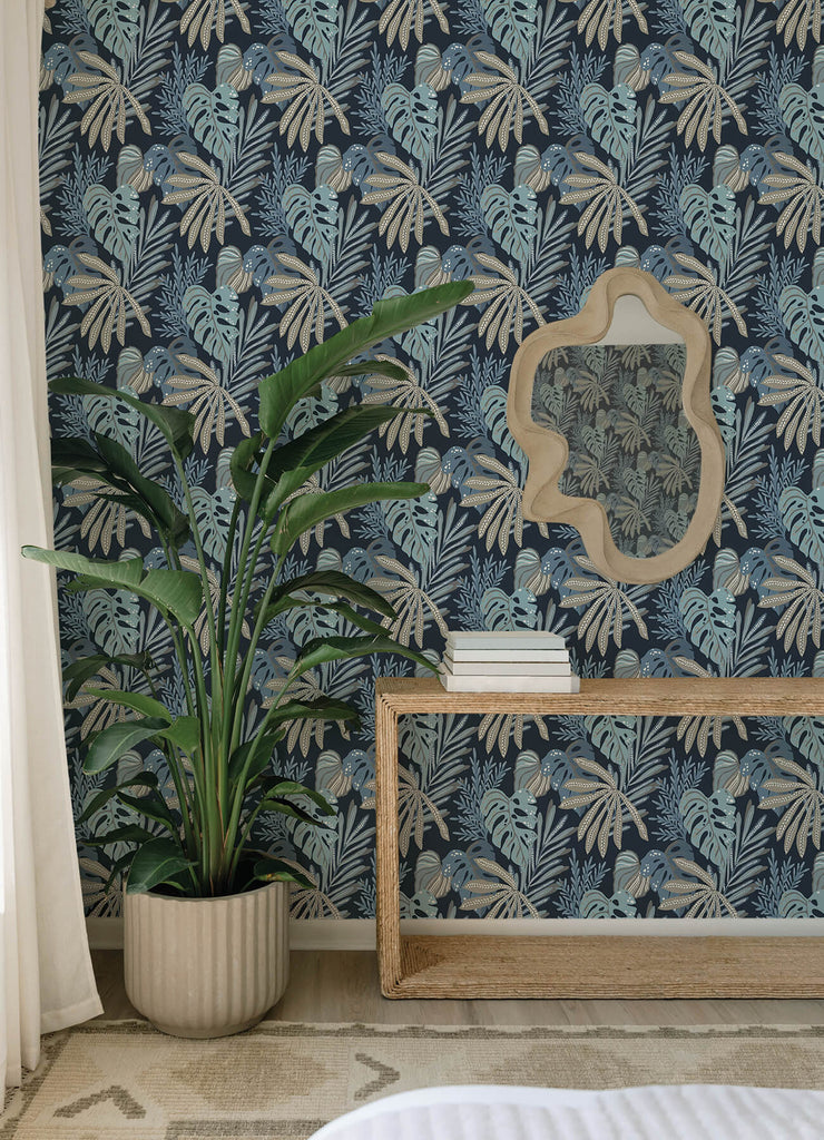 Alocasia, Blue