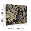 Alocasia, Neutral