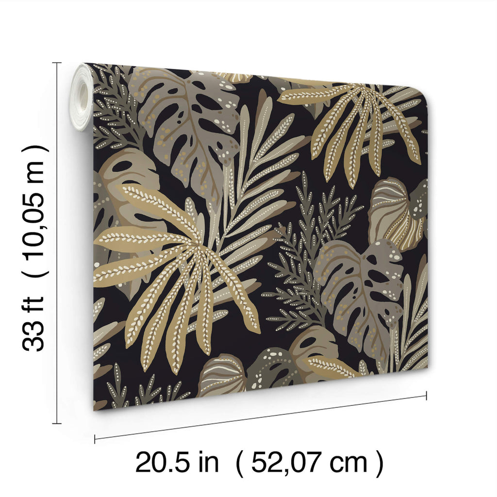 Alocasia, Neutral