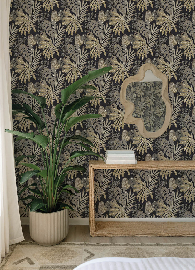 Alocasia, Neutral