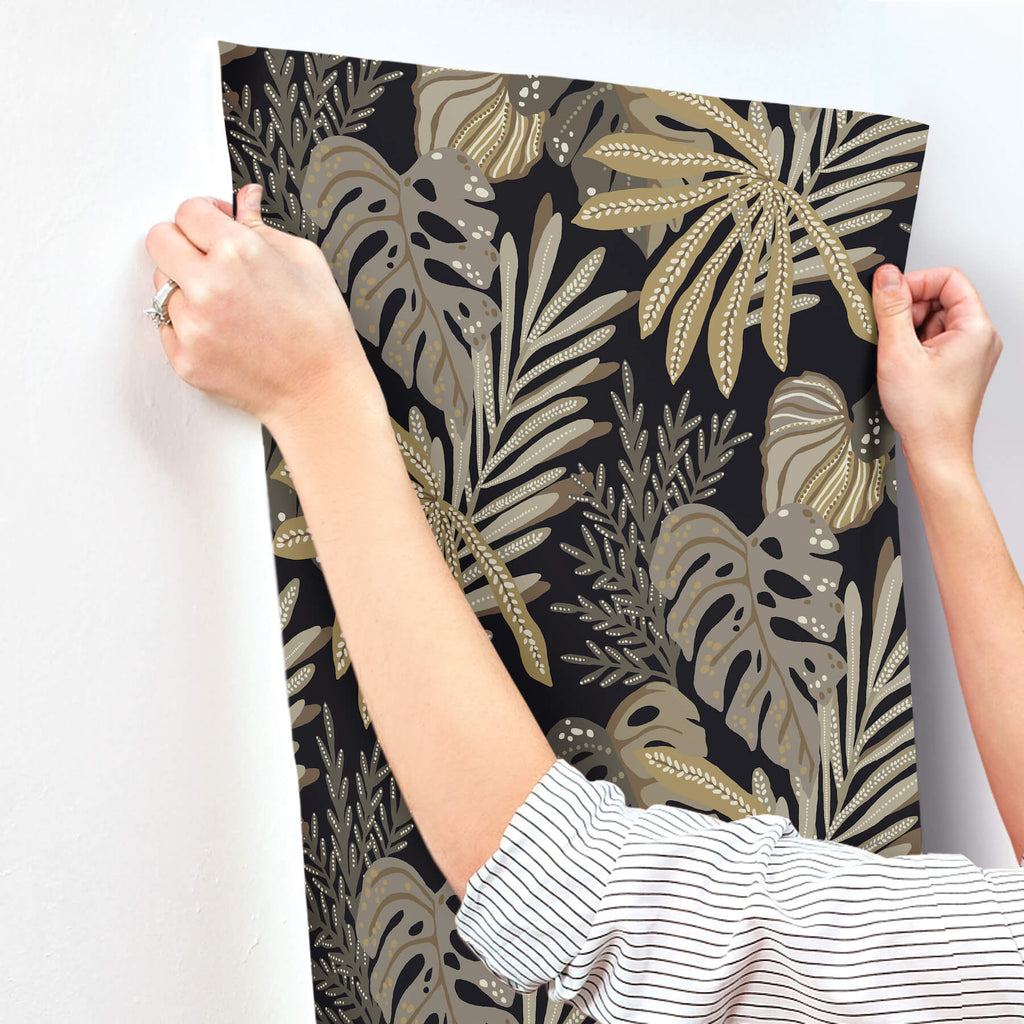 Alocasia, Neutral