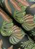 Alocasia, Multicolor