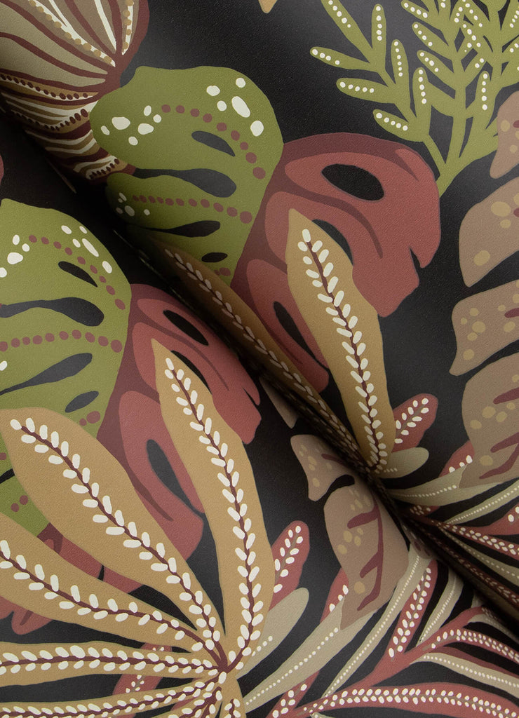 Alocasia, Burgundy