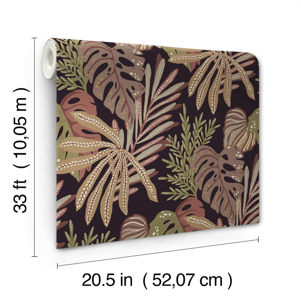 Alocasia, Burgundy