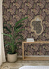 Alocasia, Burgundy