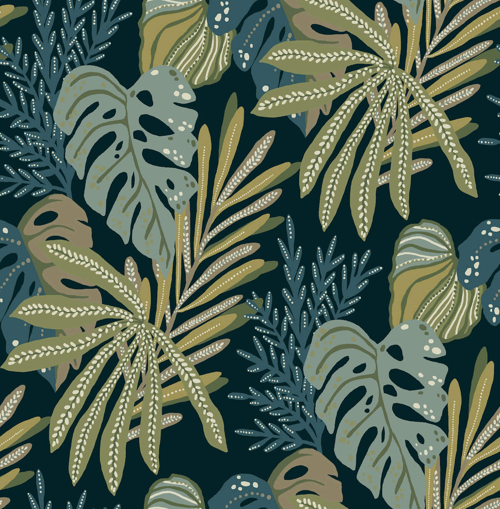 Alocasia, Green