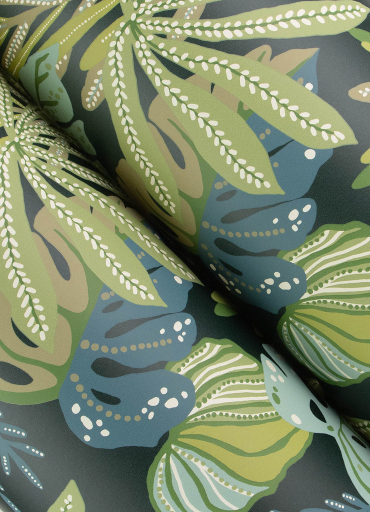 Alocasia, Green