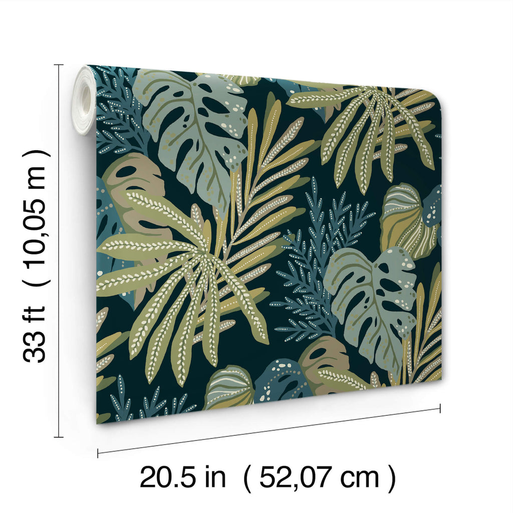 Alocasia, Green