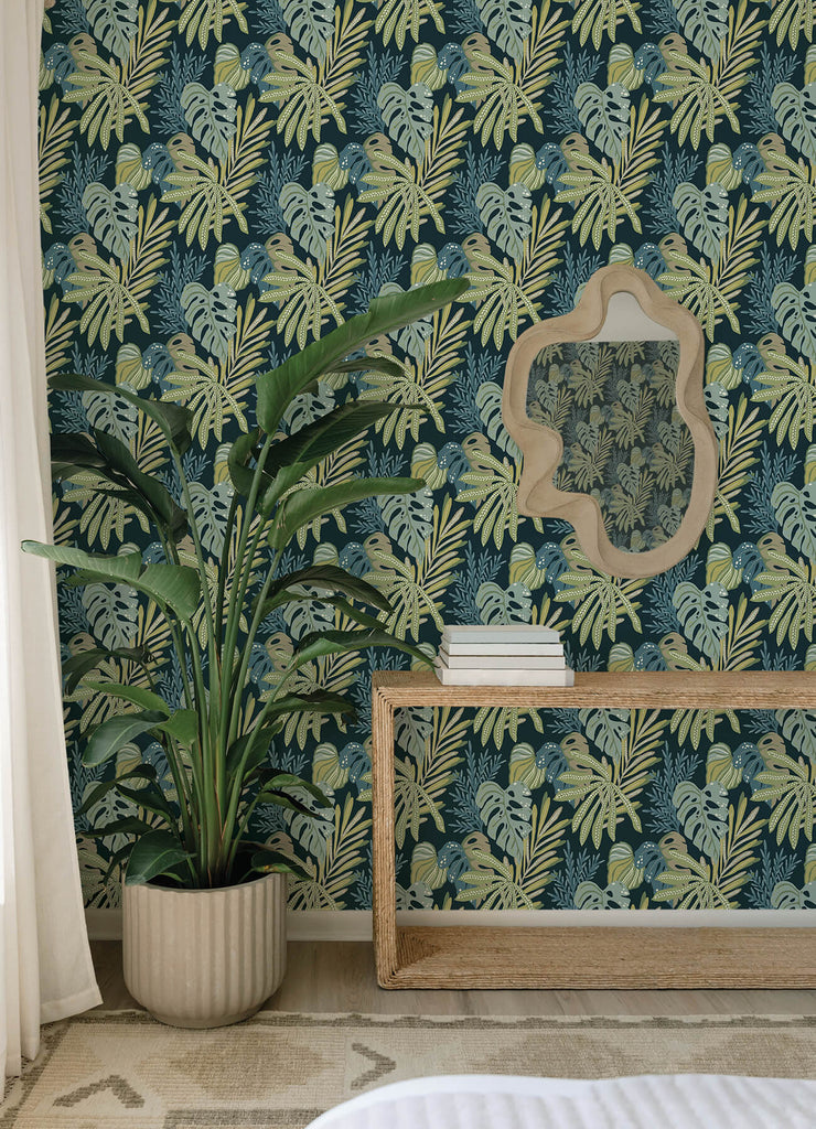 Alocasia, Green