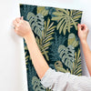 Alocasia, Green