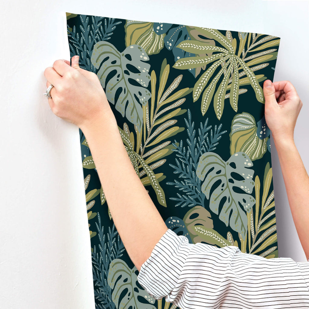 Alocasia, Green