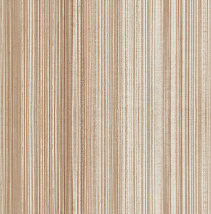 Elan Blush | Jeffrey Stevens