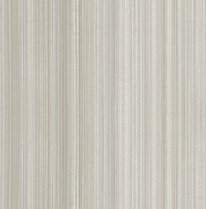 Elan Grey | Jeffrey Stevens