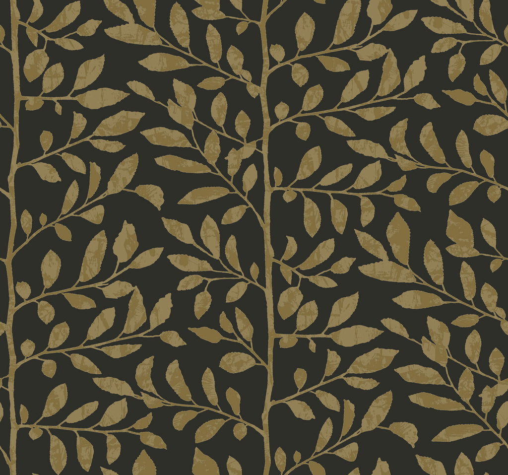 Sagecrest, Black