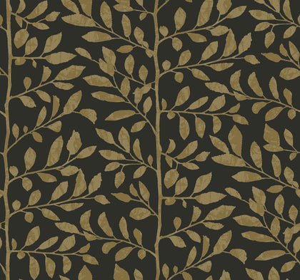 Sagecrest Black | Jeffrey Stevens