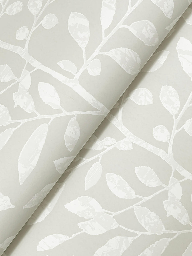 Sagecrest, Light Grey