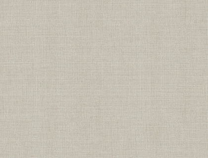 Alba Grey | Jeffrey Stevens