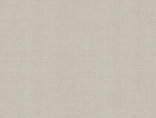 Alba Grey | Jeffrey Stevens