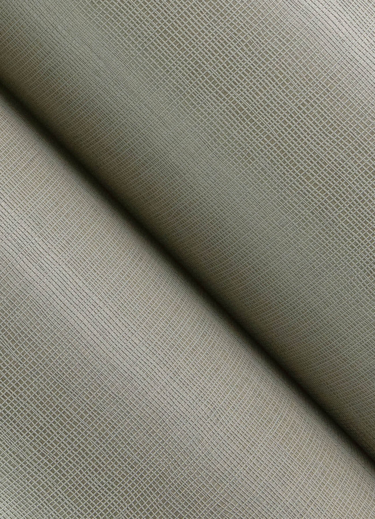 Alba, Grey